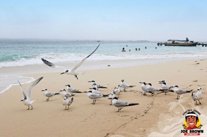 Paradise Unveiled: Discover the Enchanting San Blas Islands - Preparing for Your San Blas Adventure