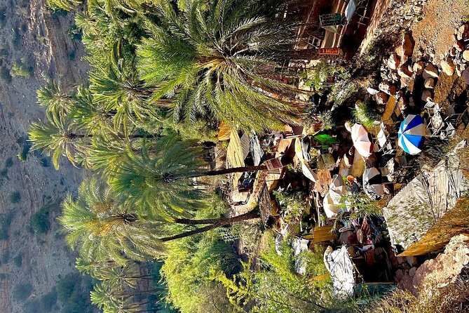 Paradise Valley Agadir Day Trip - Booking and Cancellation