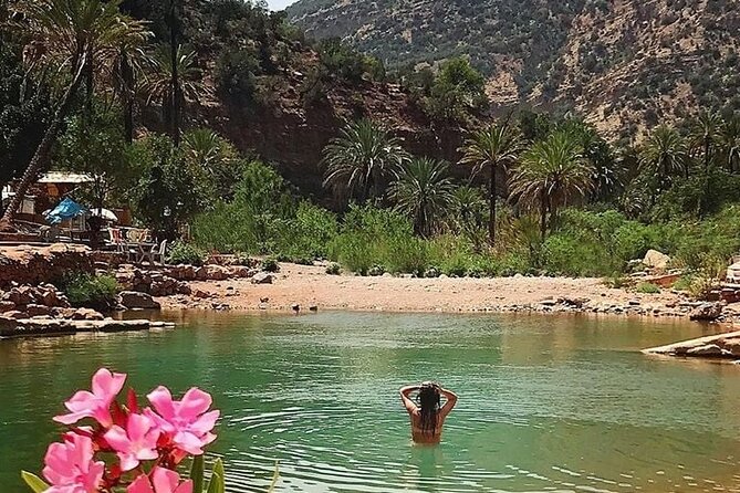 Paradise Valley Agadir Half Day Tour - Tour Schedule