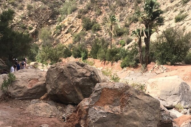 Paradise Valley Agadir Half Day Tour - Customer Experience and Reviews