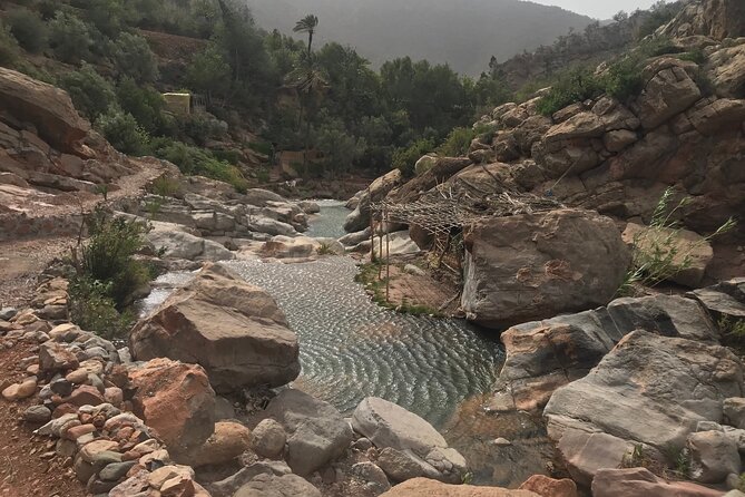 Paradise Valley Agadir Half Day Tour - Accessibility and Participation