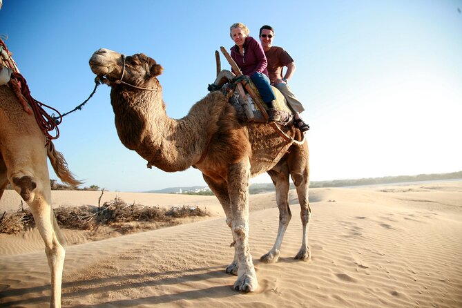Paradise Valley and Camel Ride at Sunset Pass - Booking and Availability