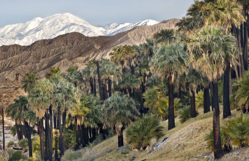Paradise Valley Atlas Mountains Swimming Experience - Photography Opportunities