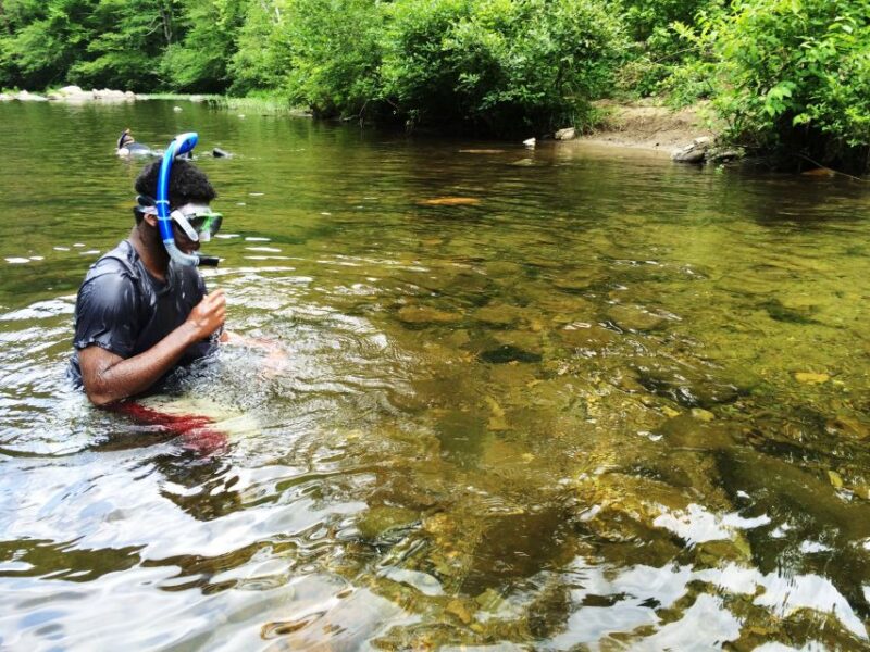 Paradise Valley Atlas Mountains Swimming Experience - Guided Tour Experience