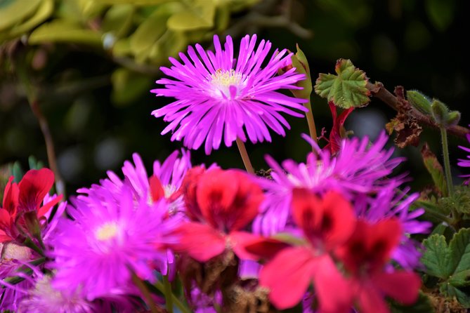 Paradise Valley Beauty Walk - Highlights of the Walk