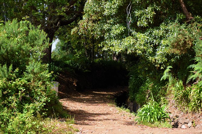 Paradise Valley Beauty Walk - Practical Information