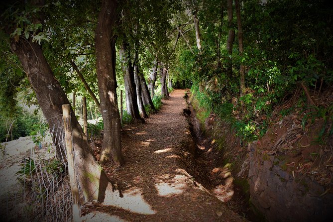 Paradise Valley Beauty Walk - Frequently Asked Questions