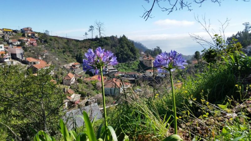 Paradise Valley Half-Day Morning Walk. - Key Points