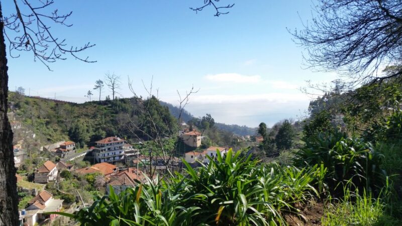 Paradise Valley Half-Day Morning Walk. - Experience Highlights