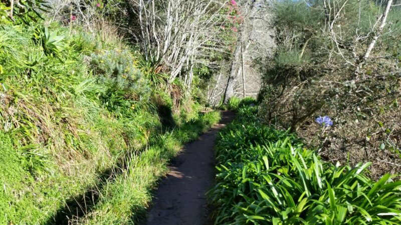 Paradise Valley Half-Day Morning Walk. - Participant Requirements