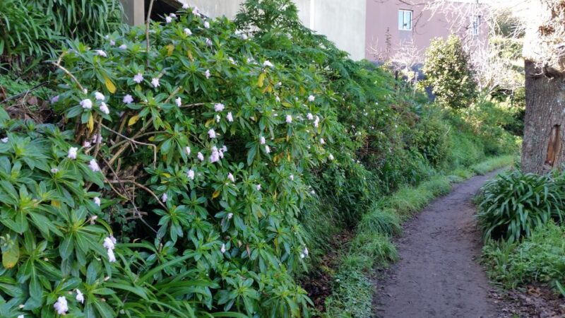 Paradise Valley Half-Day Morning Walk. - Customer Reviews