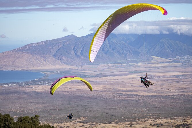 Paraglide Mauis 1K Tandem Paragliding Experience - End Point of the Activity