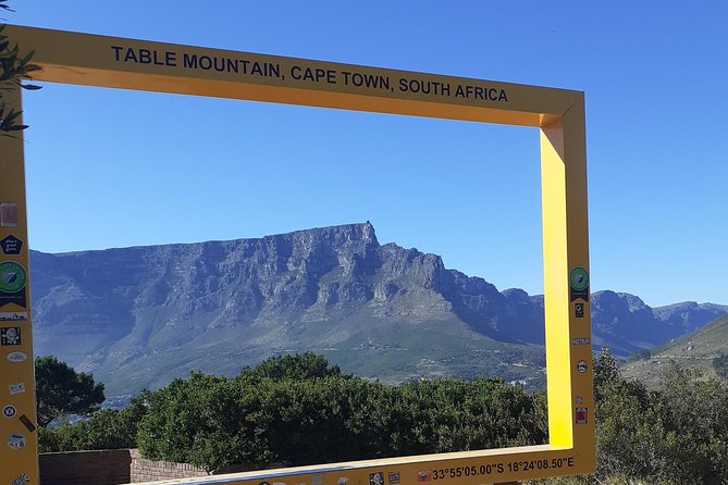 Paragliding in Cape Town - Positive Customer Reviews