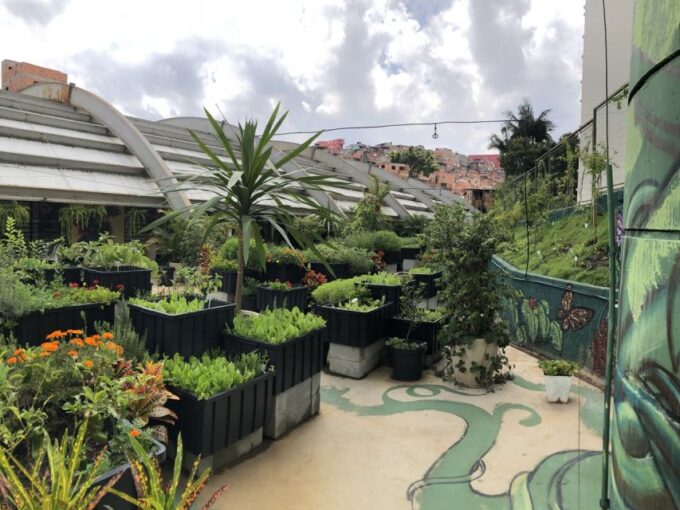 Paraisópolis: São Paulo's Vibrant Favela & Its Hidden Artists - Booking and Cancellation Policy