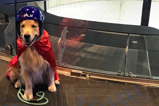 Paramus Indoor Skydiving Experience With 2 Flights & Personalized Certificate - Personalized Instruction
