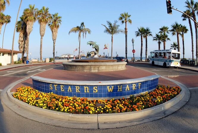 Parasail up to 1,000 Ft Above the Santa Barbara Coast - Key Points