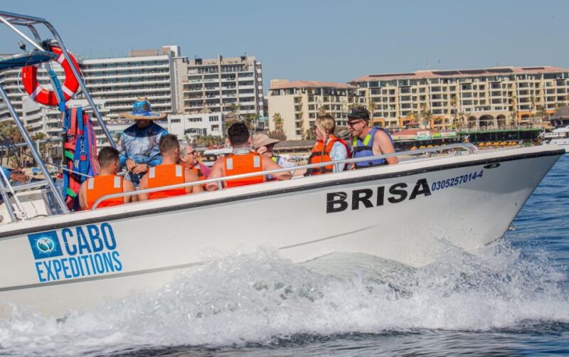Parasailing Experience: Cabo San Lucas - Key Points