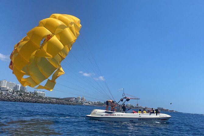Parasailing Flights on the Coast of Adeje in Tenerife - Activity Overview
