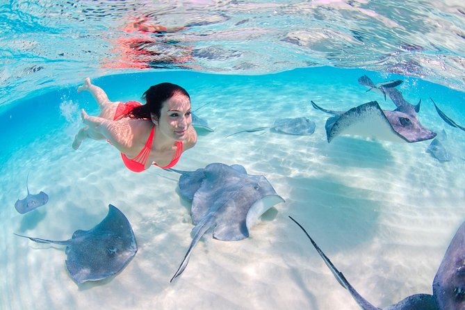 Parasailing, Snorkel Cruise, Sharks and Stingrays Encounter Tour - Onboard Amenities