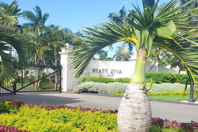 Parasaling & Jetski Experience Montego Bay. - Guest Feedback