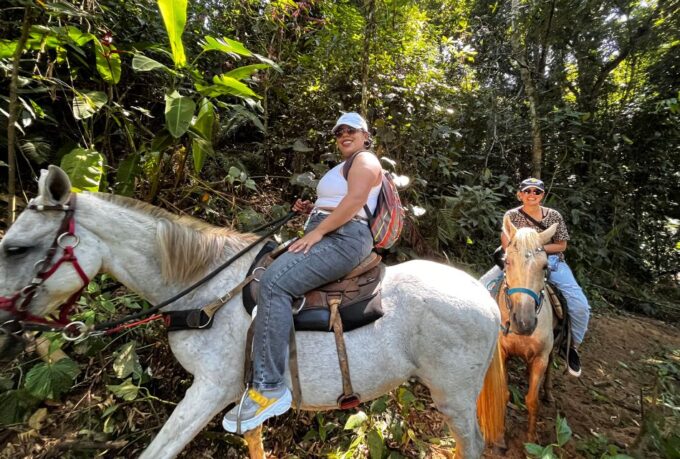 Paraty: 3-Hour Rainforest Horseback Ride - Arriving at the Trailhead