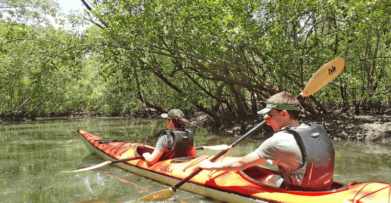 Paraty Bay: Half-Day Mangroves and Beaches Tour by Kayak - Inclusions