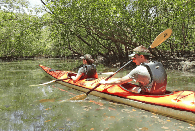 Paraty Bay: Half-Day Mangroves and Beaches Tour by Kayak - Additional Information