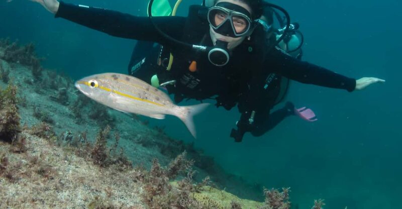 Paraty: Discovery Scuba Diving Experience for Beginners - Key Points