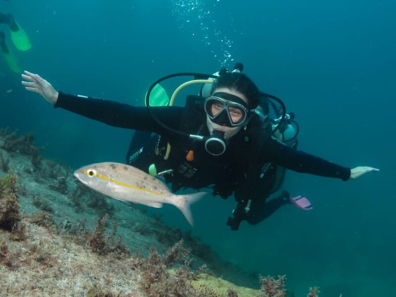 Paraty: Discovery Scuba Diving Experience for Beginners - Inclusions and Exclusions