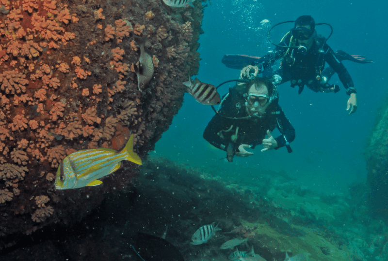 Paraty: Discovery Scuba Diving Experience for Beginners - Meeting Point and Location