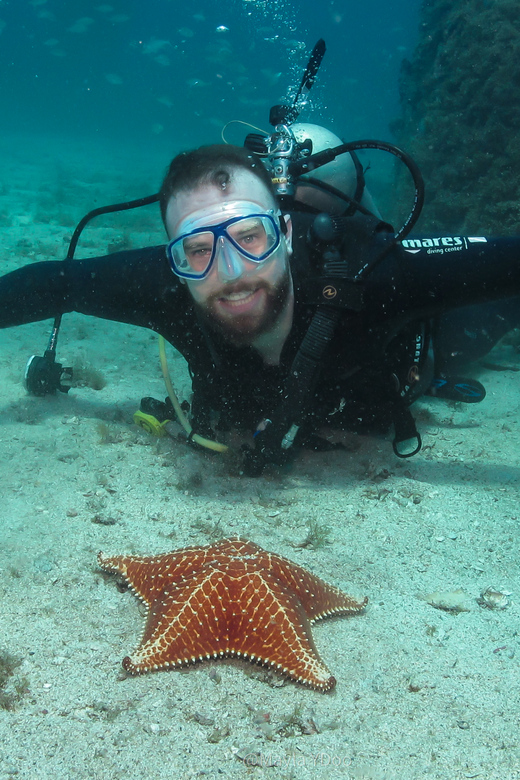 Paraty: Discovery Scuba Diving Experience for Beginners - Suitability and Restrictions