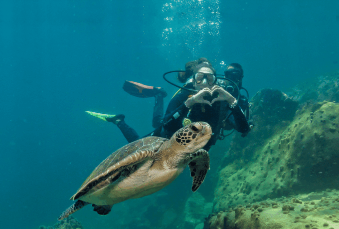 Paraty: Discovery Scuba Diving Experience for Beginners - Booking and Availability
