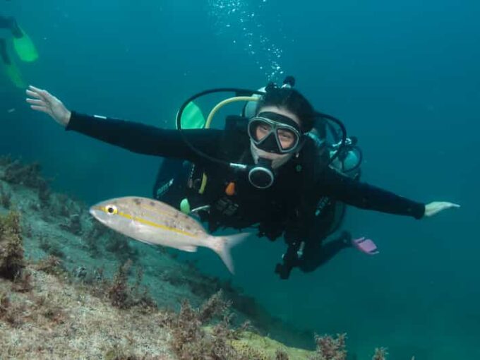 Paraty: Discovery Scuba Diving Experience for Beginners - Safety Considerations