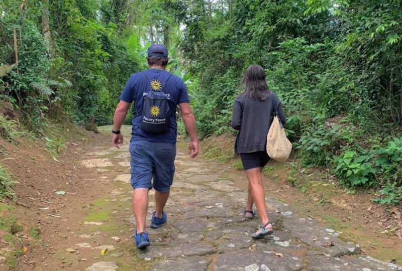 Paraty: Gold Trail Rainforest Hiking Tour - Hiking Experience