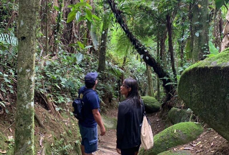 Paraty: Gold Trail Rainforest Hiking Tour - Trail Itinerary