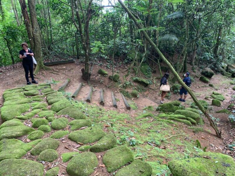 Paraty: Gold Trail Rainforest Hiking Tour - Transportation Details