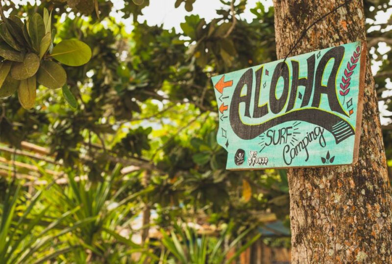 Paraty: Half-day Tour to Sono Beach - Trail Information