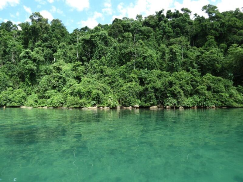 Paraty: Jeep Tour Waterfalls With Cachaça Tasting - Key Points
