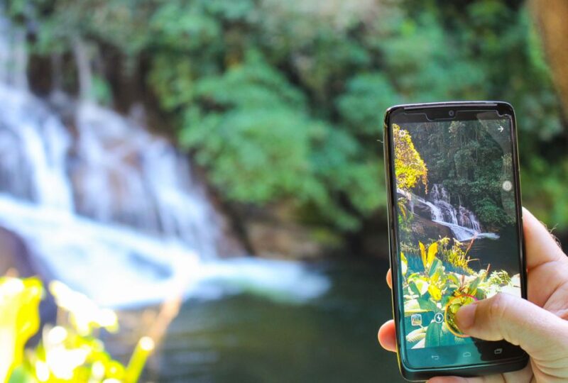 Paraty: Jungle Waterfalls and Cachaça Distillery Jeep Tour - Flora and Fauna Observation