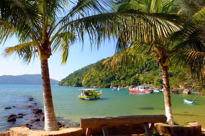Paraty Rainforest Trek and Secluded Sono Beach Tour - Included and Excluded