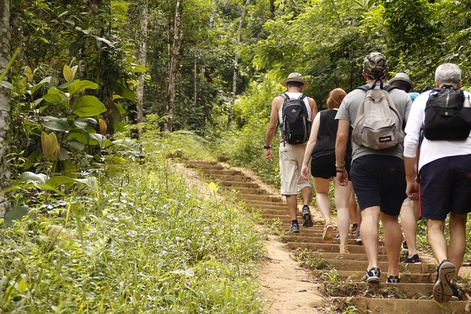 Paraty Rainforest Trek and Secluded Sono Beach Tour - Recap