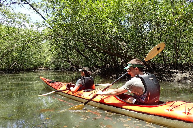 Paraty Sea Kayak Trip (2 Days) - Inclusions and Pricing