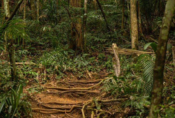 Paraty: Sugar Loaf Peak Trekking and Hiking Tour - Frequently Asked Questions