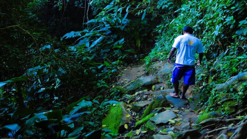 Paraty: Trindade Cove Tour With Cepilho Beach and Hike - Key Points