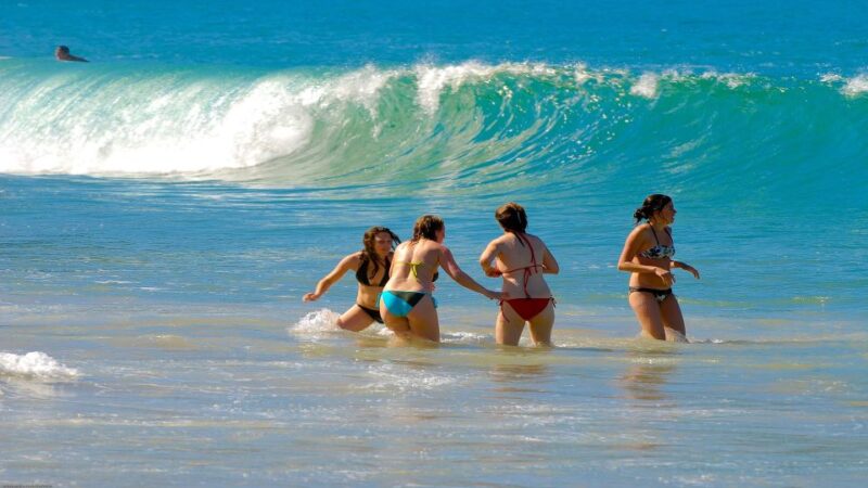 Paraty: Trindade Cove Tour With Cepilho Beach and Hike - Cepilho Beach Scenic Views