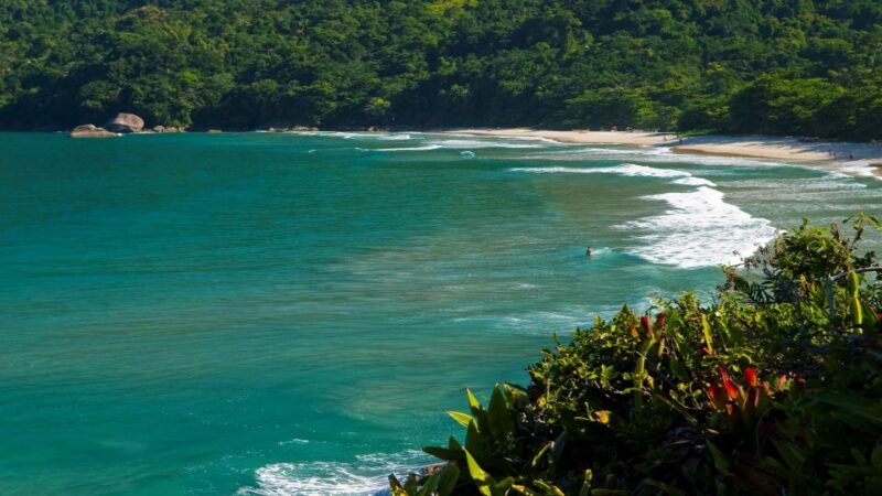 Paraty: Trindade Cove Tour With Cepilho Beach and Hike - Snorkeling Marine Life