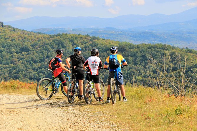 Parenzana Trail Full Day Cycling Tour From Pula, Rovinj, Poreč or Buje - Exploring Istrias Rural Countryside