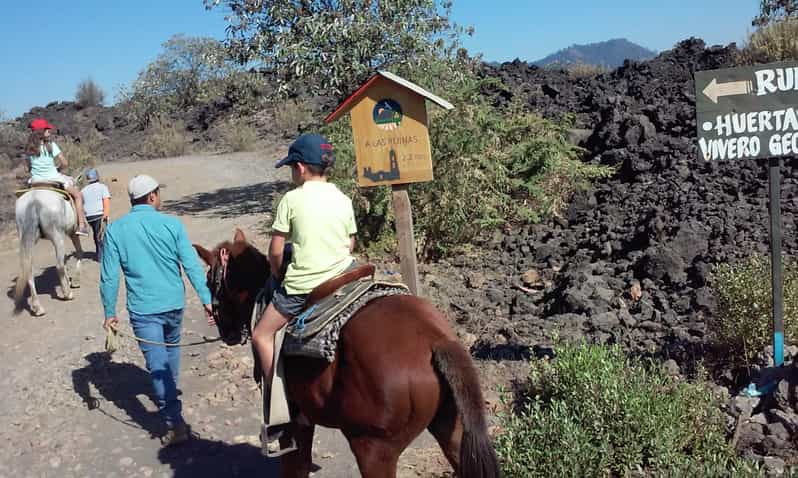 Paricutin Volcano Crater Special Tour - Experience and Itinerary