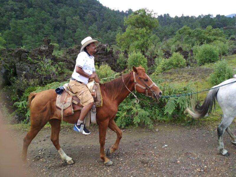 Paricutin Volcano Crater Special Tour - Guided Tour Details