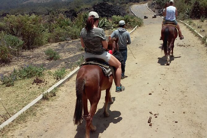 Paricutin Volcano Tour (Morelia) - Health and Accessibility Considerations